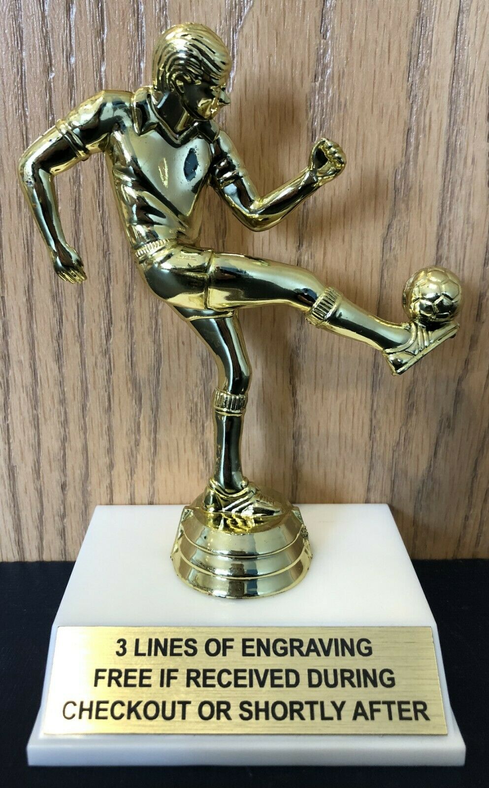Male Soccer Trophy - Free Engraving - Assembly Required